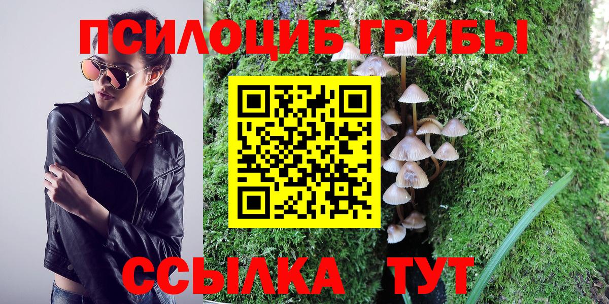 Галлюциногенные грибы Cubensis Мыски