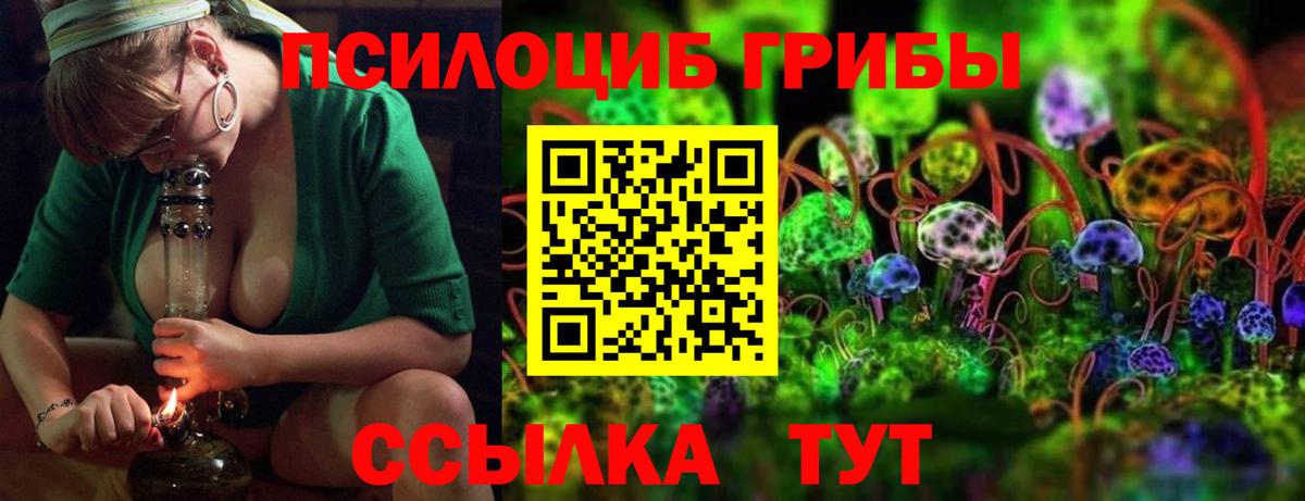 Мыски  купить наркотик  Вход с VPN  Галлюциногенные грибы MAGIC MUSHROOMS  Псилоцибиновые грибы Magic Shrooms 